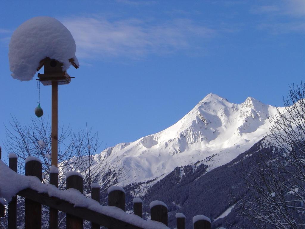 Haus Harbauer Apartamento Neustift im Stubaital Exterior foto